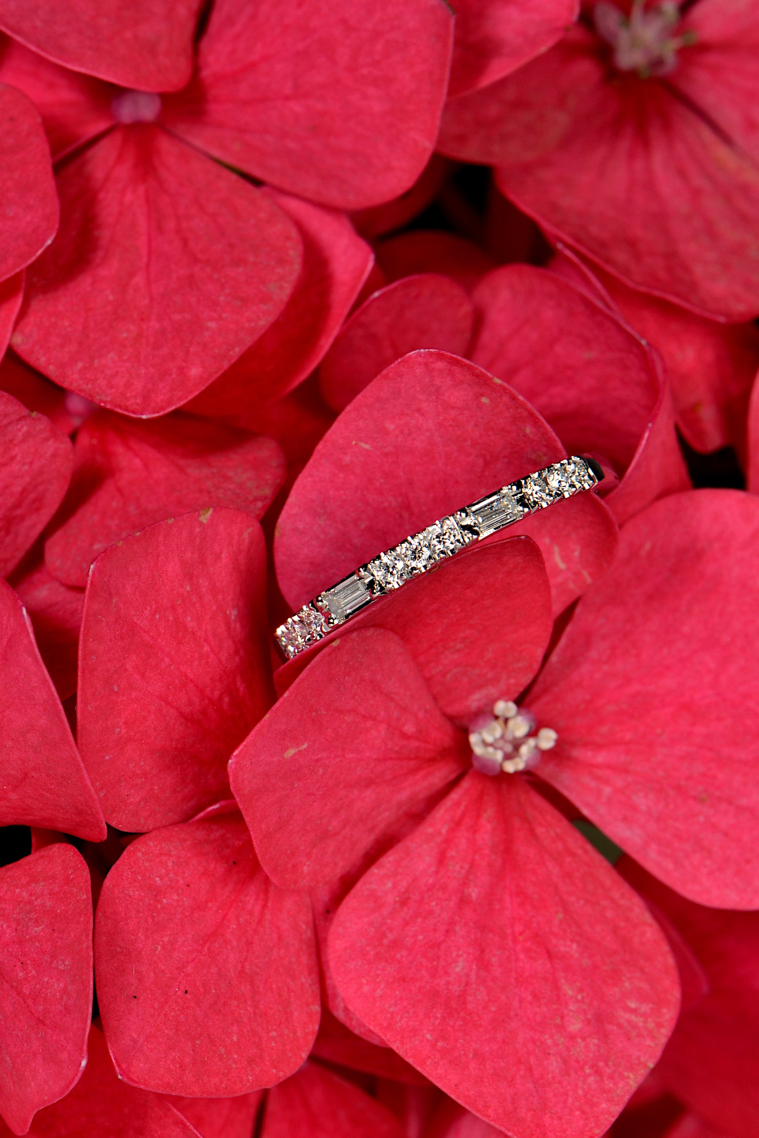 Stunning narrow platinum diamond wedding ring with baguettes and round diamonds in a morse code style design photographed on cerise pink hydrangea flower petals 